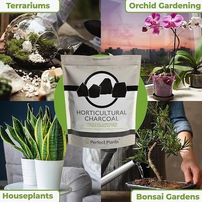 Horticultural Charcoal by Perfect Plants - 24oz. Plant Charcoal - Naturally Cleanses, Flushes Toxins and Excess Moisture from Containers and Terrariums
