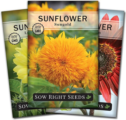 Sow Right Seeds - Sunflower Seed Collection for Planting - Includes 3 Varieties: Dwarf Sungold, Lemon Queen, and Velvet Queen - Non-GMO Heirloom Packet with Instructions - Giant and Miniature Blooms