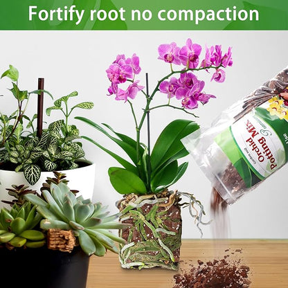 Orchid Potting Mix,Premium Orchid Bark Potting Mixture of Pine Bark,Perlite & Coco Peat Enhanced Drainage and Ventilation,Ideal for Repotting and Growing Indoor Plants Dendrobiums,Phalaenopsis,2QT