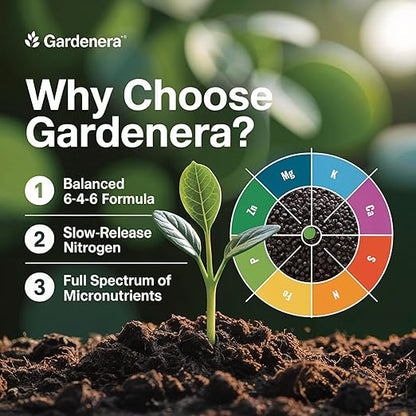 𝐁𝐄𝐒𝐓𝐒𝐄𝐋𝐋𝐄𝐑 Citrus Fertilizer + Vital Micronutrients - Perfect Balanced NPK for All Citrus - for Indoor and Outdoor Plants - Orange, Lime, Avocado and Lemon Tree Fertilizer [16 OZ]