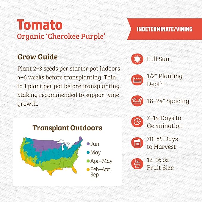 Back to The Roots 100% Organic Seed Packet - Tomato 'Cherokee Purple' 100mg