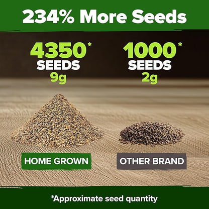 HOME GROWN Arugula Seed 2 Pack – 4350 Vegetable Seeds – Non GMO Ideal Seeds for Hydroponic Garden Indoor – Premium and Heirloom Arugula Seeds for Planting (Eruca vesicaria)