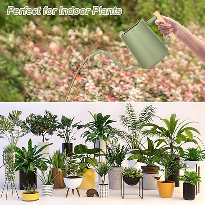 Watering Can Indoor Plants, 35 oz/1000 ml Metal Stainless Steel Watering Can Pot with Long Spout for Indoor House Plants Bonsai Outdoor Garden Flower Decorative (Sage Green)