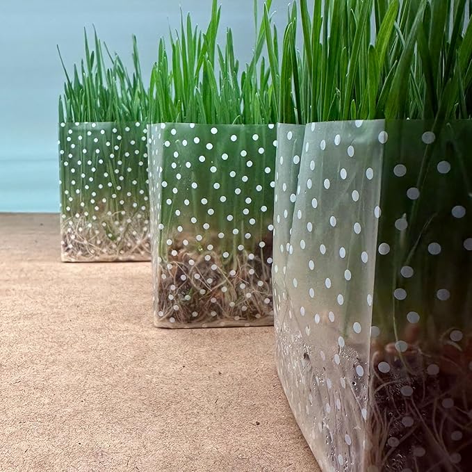 Organic Cat Grass Kit 3 Pack - Polkadot Grow Bags for Indoor Cats | Non GMO Mixed Heirloom Seeds | Wheatgrass - Oat Grass - Barley Grass Blend