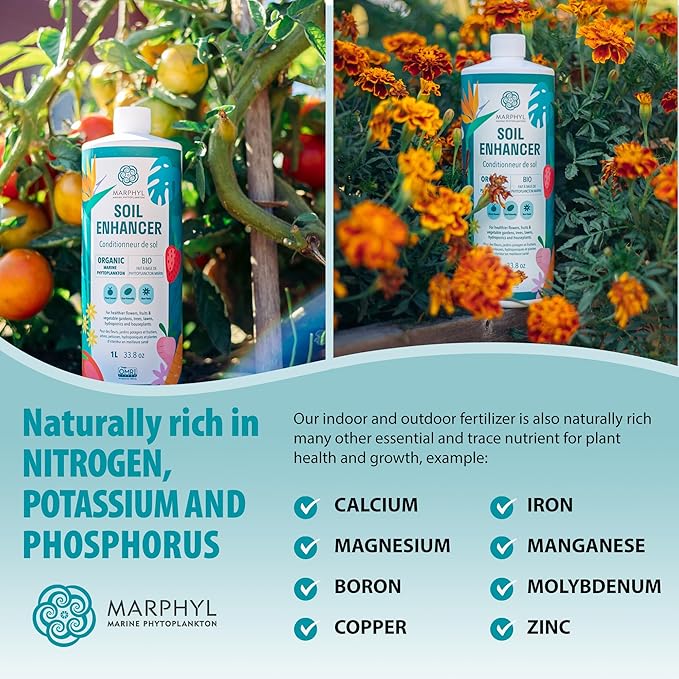 MARPHYL Plant Fertilizer Houseplants and Garden - Marine Phytoplankton Soil Improver and Hydroponic Fertilizer for Grasses, Bamboo, Succulents, & Vegetables - Organic Plant Liquid