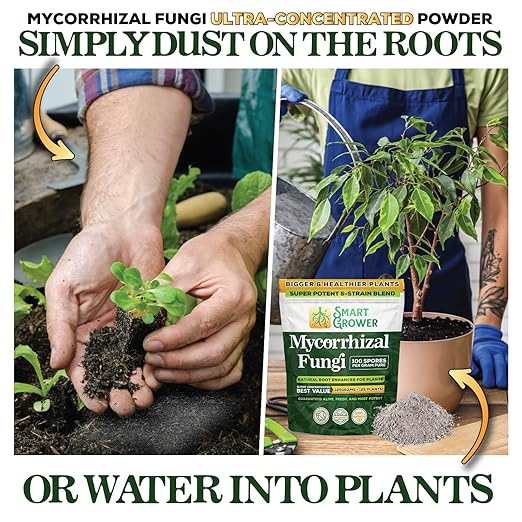 Mycorrhizal Fungi Organic Root Enhancer for Plants, Super Potent 100 Spores Per Gram, 5-Strain Blend, Rapid Results for Gardens, Houseplants, Lawns, Mycorrhizae Smart Grower 500 Grams for 500 Plants