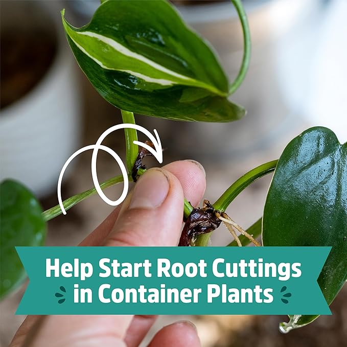 Back to The Roots 100% Organic Perlite | Made in The USA | Premium Nutrition for Indoor and Outdoor Plants