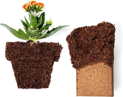 Coco Coir 650gm Bricks (30-Pack) - Organic Coco Coir for Plants & Gardening - OMRI-Listed Cocopeat for Garden Soil, Seed Starter Soil, & Mulch - Coconut Coir Bricks - Coconut Fiber Potting Mix