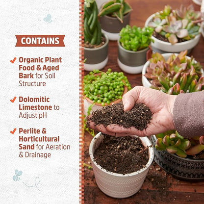 Back to The Roots 100% Organic Succulent & Cacti Mix (Value 12 Quart) | Made in The USA