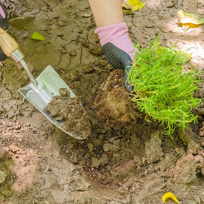 Berry&Bird Stainless Steel Trowel, Garden Small Flower Hand Shovel, Potting Soils Scoop with Wood Handle, Gardening Bonsai Tools for Transplanting Digging Weeding Planting