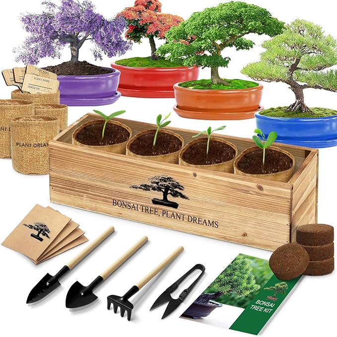 Bonsai Tree Kit, Bonsai Starter Kit with Seeds & Tools, Tree Live Plants Indoor, Gardening Gifts for Women Men Mom Father Plant Lover, Birthday Thanksgiving