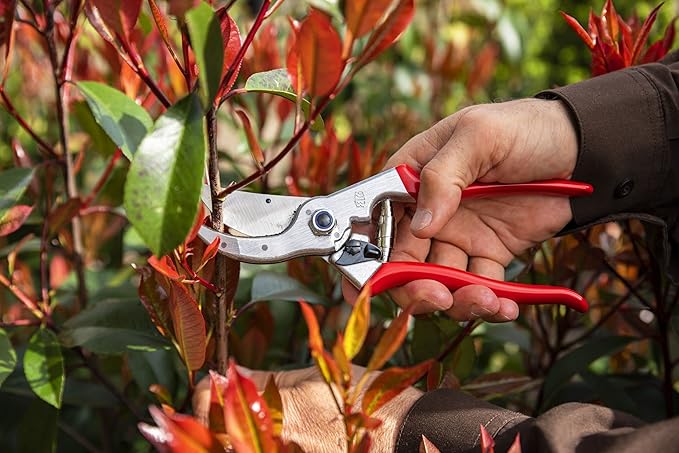 Felco F4 Pruning Shears – 9.25" Swiss-Made Garden Clippers for Pruning | Hand Pruners for Gardening | Garden Tool Cutter with Precision Bypass Blade, Aluminum Body, Replaceable Parts, Nut/Bolt Model
