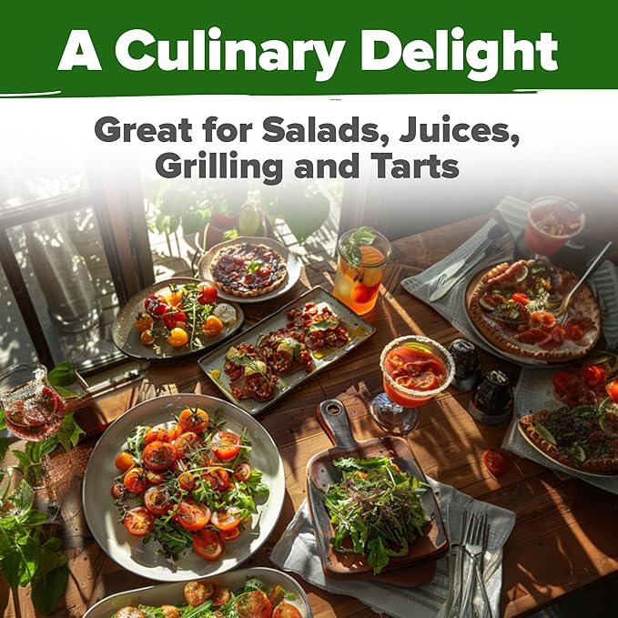 HOME GROWN Large Red Cherry Tomato Seeds 2 Pack (Solanum lycopersicum) - Approx.1000 Non-GMO Heirloom Tomato Seeds for Planting Vegetable Seeds for Homesteading, Sustainable Living, and Home Gardening