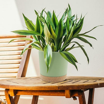 QCQHDU 8 inch Plant Pot, 2 Pack Planters for Indoor Plants with Drainage Holes & Saucer, Outdoor Flower Pots Home Garden Modern Decor