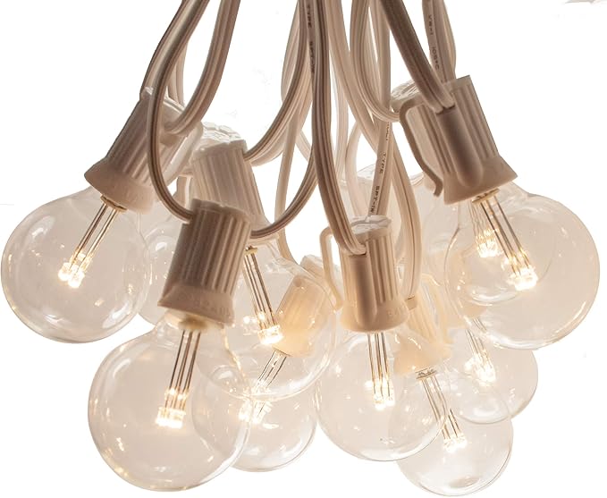 Hometown Evolution, Inc. Outdoor Globe String Lights (25 Foot, LED G40 Clear - White Wire - 1.6 Inch .6 Watt Bulbs)