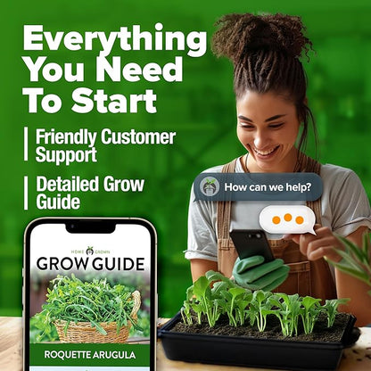 HOME GROWN Arugula Seed 2 Pack – 4350 Vegetable Seeds – Non GMO Ideal Seeds for Hydroponic Garden Indoor – Premium and Heirloom Arugula Seeds for Planting (Eruca vesicaria)