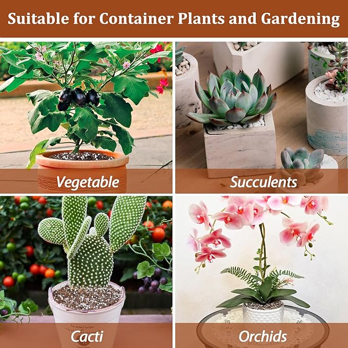 Riare 4 Quarts Organic Perlite for Plants - Horticultural Perlite Soil Amendment for Plants Potting Mix, Natural Chunky Perlite Soil Additive Conditioner Improve Root Growth, Drainage and Ventilation