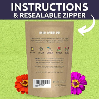 Zinnia Dahlia Mix - Bulk 1/4 Pound Pouch - 15,000 Flower Seeds for Planting - Zinnia elegans