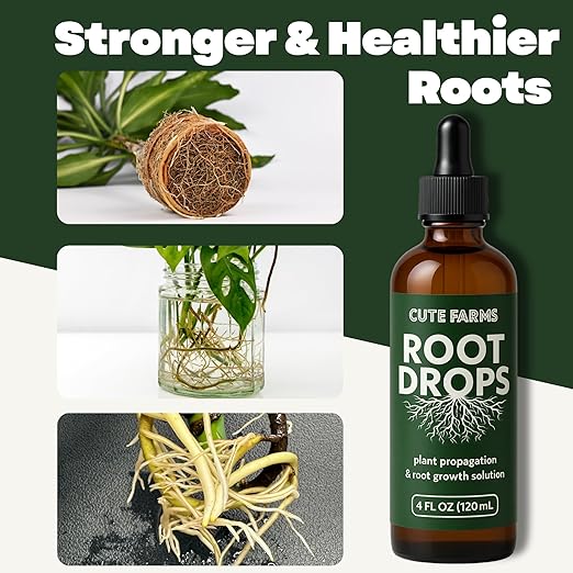 Root Drops - Liquid Rooting Booster | Rapid Growth, Stronger Root System, Reduced Transplant Shock | Ideal for Water, Soil, Leca | Perfect for Indoor Plants: Pothos, Monstera, Philodendron (4 oz)