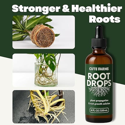 Root Drops - Liquid Rooting Booster | Rapid Growth, Stronger Root System, Reduced Transplant Shock | Ideal for Water, Soil, Leca | Perfect for Indoor Plants: Pothos, Monstera, Philodendron (4 oz)