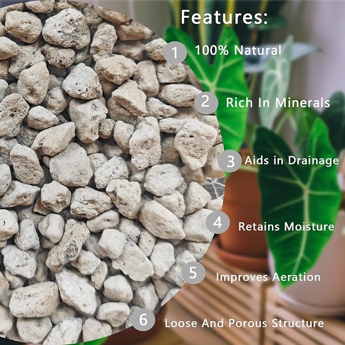 Horticultural Pumice for Plants 5QT, Natural Organic Pumice Stones for Succulent Cactus Bonsai Tree Orchid Potting Mixed, Improves Soil Aeration and Drainage, Promotes Root