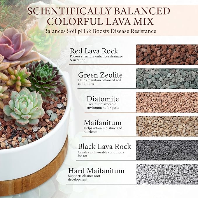 10LB Lava Rocks for Plants-3/8 Volcanic Rock for Succulent Potting Mix, Cactus, Orchids & Bonsai-Porous Horticultural Grit for Drainage, Aeration & pH Balance - Decorative Top Dressing