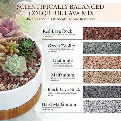 2.5LB Lava Rocks for Plants-3/8 Volcanic Rock for Succulent Potting Mix, Cactus, Orchids & Bonsai-Porous Horticultural Grit for Drainage, Aeration & pH Balance - Decorative Top Dressing