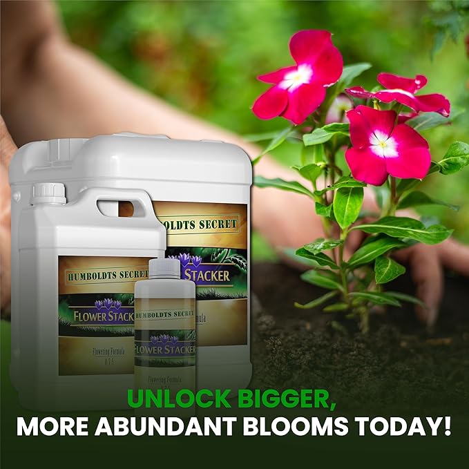 Humboldts Secret Flower Stacker | 0-7-5 Bloom Booster with Vitamin B1 | High Phosphorus Potassium Flowering Nutrients | Potting Soil Hydroponics Coco | Indoor & Outdoor Plants | 5 Gallon