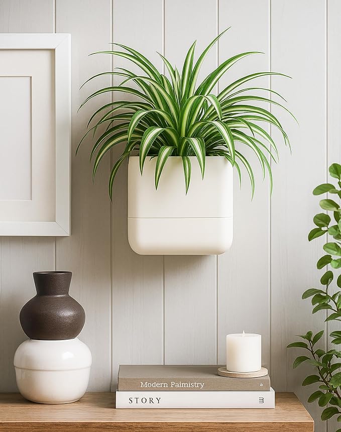 Phoenix Vine 6.5-Inch Wall Mounted Self-Watering Planter Pot for Indoor Houseplants and Herbs | Hanging Planter for Window Sills, Bathroom Walls, Home & Office Décor, Oatmeal, Set of 3, 01-WP-D-3