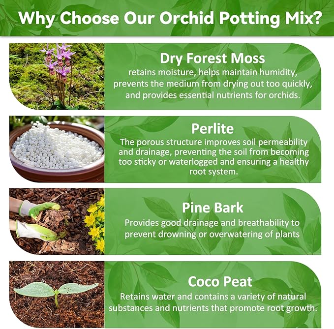 Riare 6QT Orchid Potting Mix for Repotting- Orchid Repotting Kit Include Moss, Pine Bark, Perlite, Coco Peat- Premium Orchid Soil Medium for Indoor Potted Plants Root Ventilation & Expanding