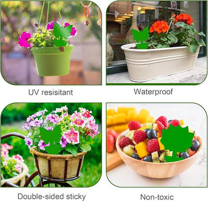Fruit Fly Traps, 60 Pack Green Stick Traps, Fungus Gnat Traps, Plant Fly Stickers for Indoor and Outdoor Use Protect The Plant