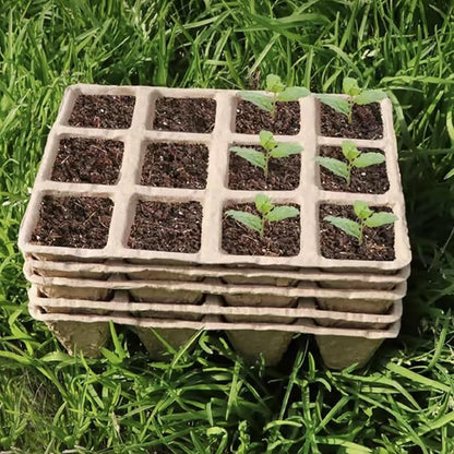 144 Cells Seed Entry Tray, 12 Packs Biodegradable Seedling Peat Pots, Organic Germinating Plant Entry Kit with 100 White Labels and 2 Planting Transplanters