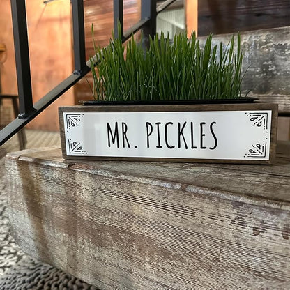 Whetagrass Kits (Wheatgrass Grow Kit - Custom Box)