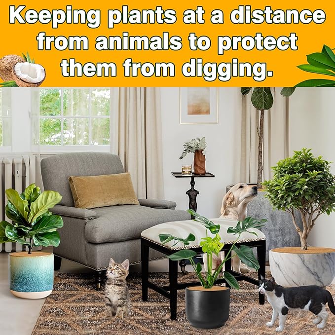 ZeeDix 10 Pack Coconut Fiber Mulch Ring, 6 Inch Coco Coir Tree Ring Mulch Mat, 100% Natural Tree Protector Mat Plant Cover Ring Coconut Coir Discs Tree Mats Mulch Rings for Indoor Outdoor Trees Plants