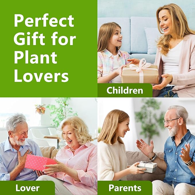 Bonsai Tree Kit, Bonsai Starter Kit with Seeds & Tools, Tree Live Plants Indoor, Gardening Gifts for Women Men Mom Father Plant Lover, Birthday Thanksgiving