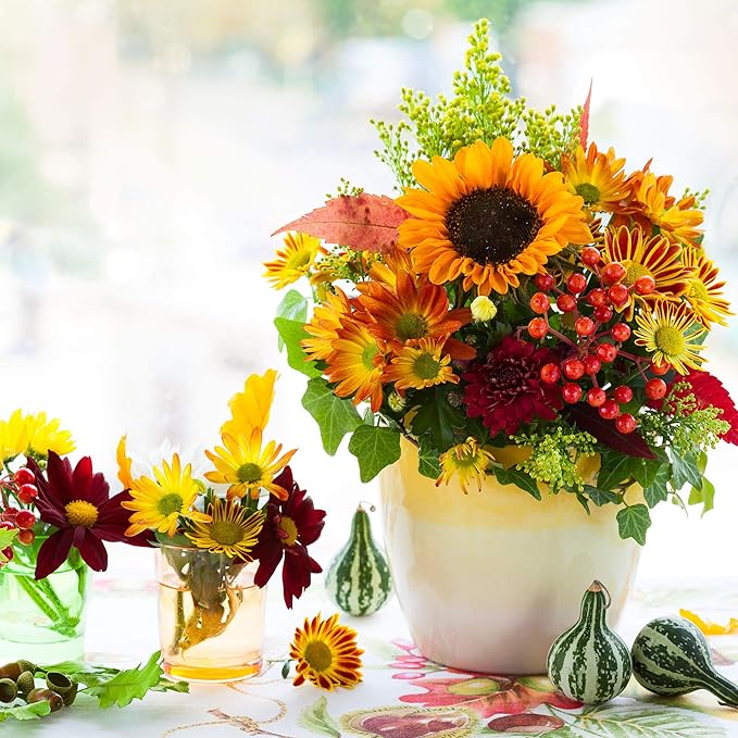 African Marigold Flower Garden Seeds - Discovery Series F1 - Yellow - 100 Seeds - Annual Flower Gardening Seed - Tagetes erecta