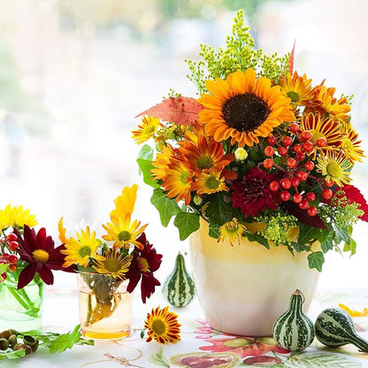 African Marigold Flower Garden Seeds - Discovery Series F1 - Yellow - 100 Seeds - Annual Flower Gardening Seed - Tagetes erecta