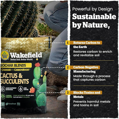 Wakefield Biochar Blend Potting Mix for Cactus & Succulent – Premium Potting Soil Blend with CarbonBoost Technology for Superior Drainage, Moisture Retention & Root Growth – 2 QT Organic Soil Mix