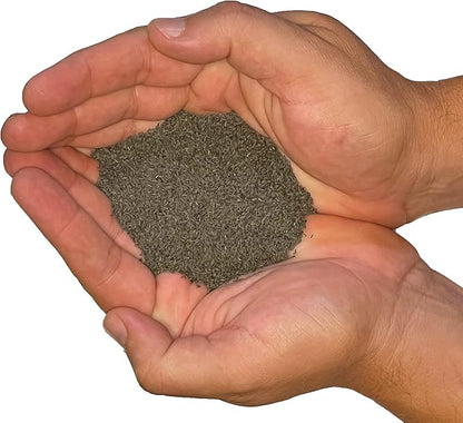 Black Eyed Susan Seeds for Planting, 1 Ounce, Giving You Beautiful Black Eyed Susan Flowers, Non-GMO, Heirloom Seed Varieties…