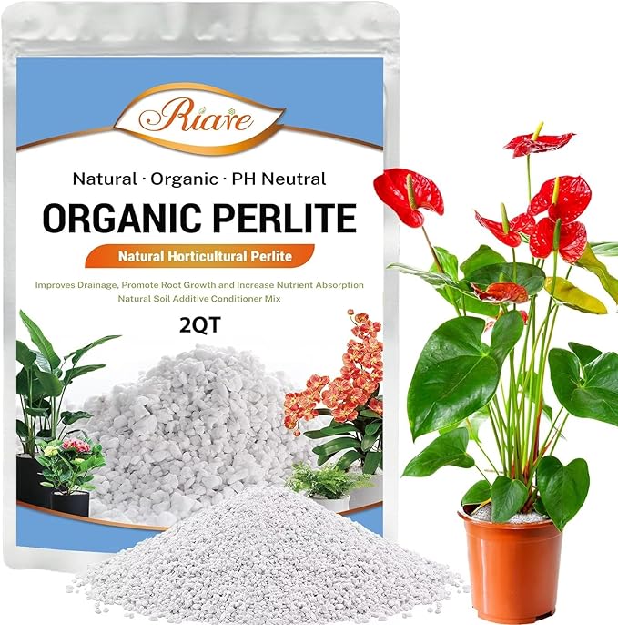 Riare 2 Quarts Organic Perlite for Plants - Horticultural Perlite Soil Amendment for Plants Potting Mix, Natural Chunky Perlite Soil Additive Conditioner Improve Root Growth, Drainage and Ventilation