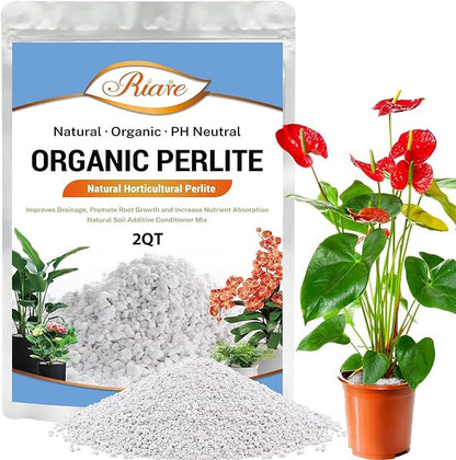 Riare 2 Quarts Organic Perlite for Plants - Horticultural Perlite Soil Amendment for Plants Potting Mix, Natural Chunky Perlite Soil Additive Conditioner Improve Root Growth, Drainage and Ventilation