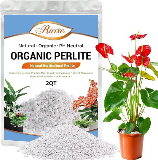 Riare 2 Quarts Organic Perlite for Plants - Horticultural Perlite Soil Amendment for Plants Potting Mix, Natural Chunky Perlite Soil Additive Conditioner Improve Root Growth, Drainage and Ventilation