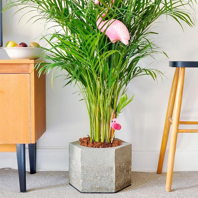 Halatool 10LBS Coco Coir Chips for Plants, 100% Compressed Organic Coco Husk with Low EC pH Balanced, Coconut Substrate Growing Mulch for Flowers, Garden, Orchids, Herbs,Landscaping