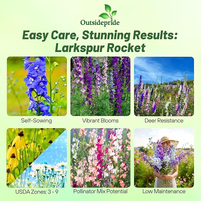 Outsidepride Mixed Rocket Larkspur Seeds for Planting Outdoors - 1/4 Lb. Annual, Self-Seeding, Heat & Drought Tolerant Wildflower Seeds for Cut Flower Arrangements & Pollinator Gardens