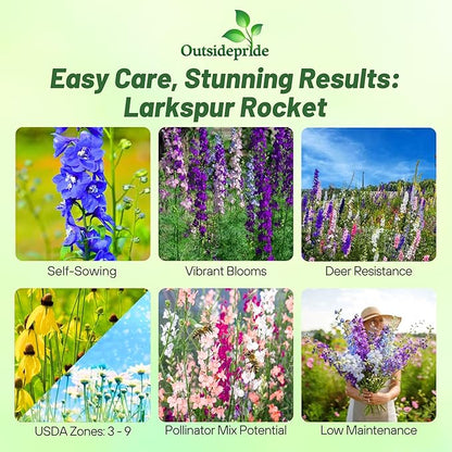 Outsidepride Mixed Rocket Larkspur Seeds for Planting Outdoors - 1 Lb. Annual, Self-Seeding, Heat & Drought Tolerant Wildflower Seeds for Cut Flower Arrangements & Pollinator Gardens