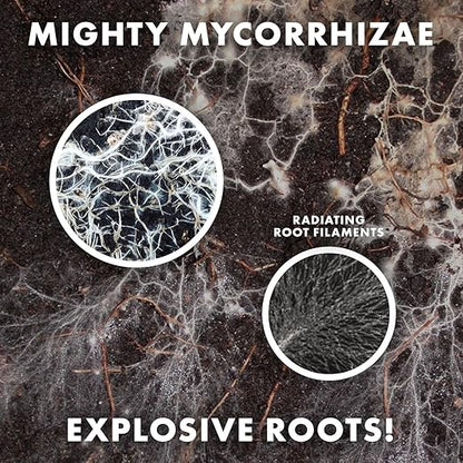Mycorrhizae 16 Species Inoculant (1 oz) Improves Drought Tolerance + Saves Precious Water + Fertilizer, Root Stimulator • Explodes Root Growth [1 oz Treats 1,200 (4 inch) Plants]