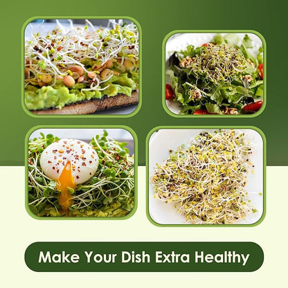 Nature Jims Broccoli Sprouts & Radish Seeds – Organic Broccoli Sprouts, Organic Radish Seeds, Non-GMO for Indoor/Outdoor Growing, Microgreens Bundle, 8oz + 16oz