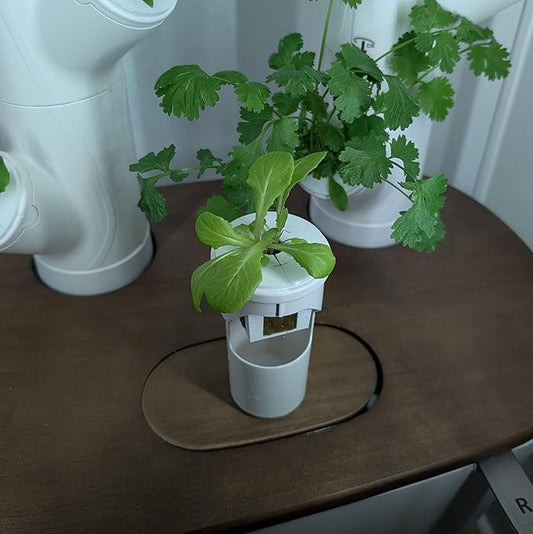 Grow Cubes for Hydroponic System/Compatible with Gardyn (10 Cubes+Rockwool)