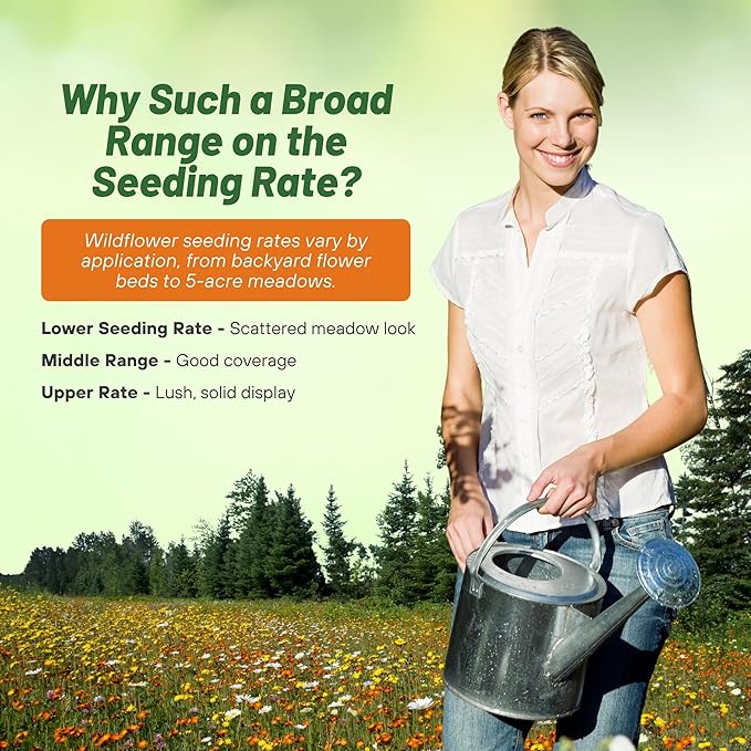 Outsidepride Annual Sun Wild Flower Seed Mix - 1 lb Premium Blend of Annual Wildflower Seeds for Sunny Locations, Vibrant & Easy-to-Grow, Attracts Pollinators, Ideal for Home Gardens & Floral Displays