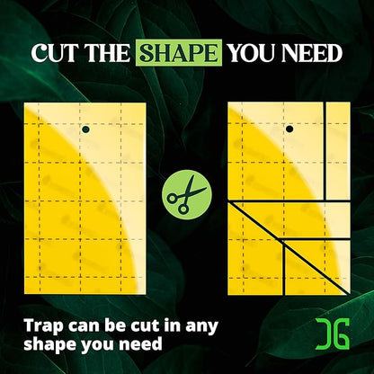 Catchmaster GRO Yellow Regular Double Sided Sticky Traps 72PK, Adhesive Bug & Fruit Fly Trap, Pest Control for Home, Farm, Garden, Hydroponics & Greenhouse, Protect Live Plants Indoor & Outdoor